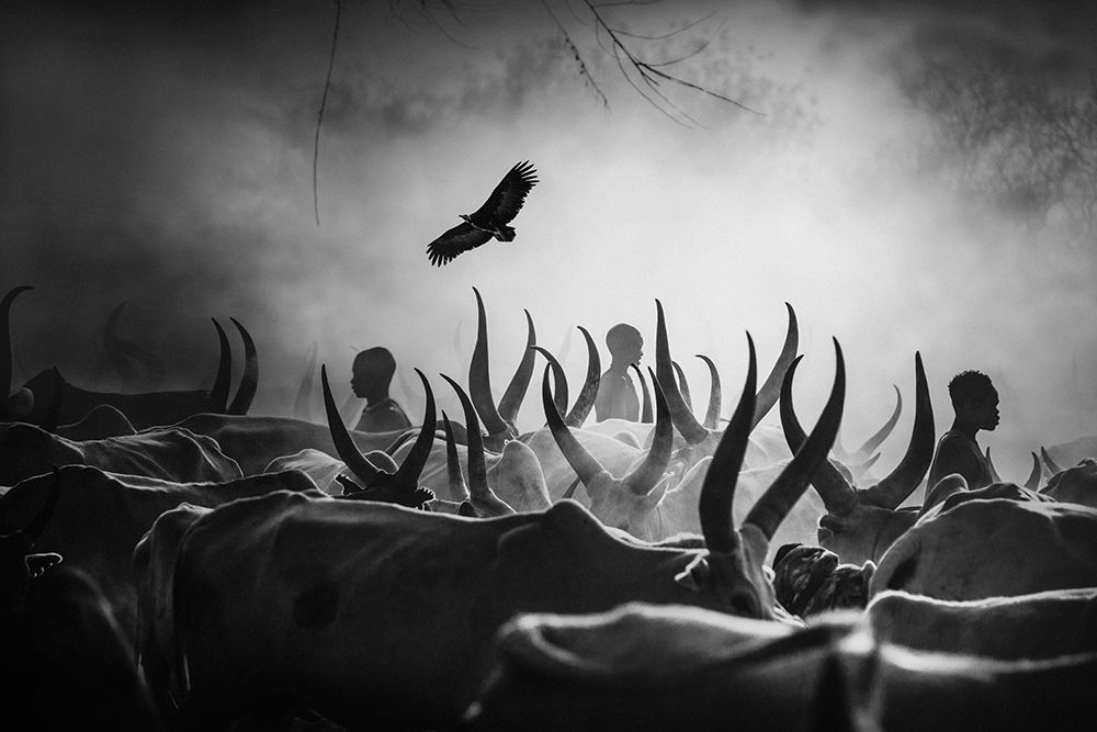 The Shadows Of Mundari art print by Svetlin Yosifov for $57.95 CAD