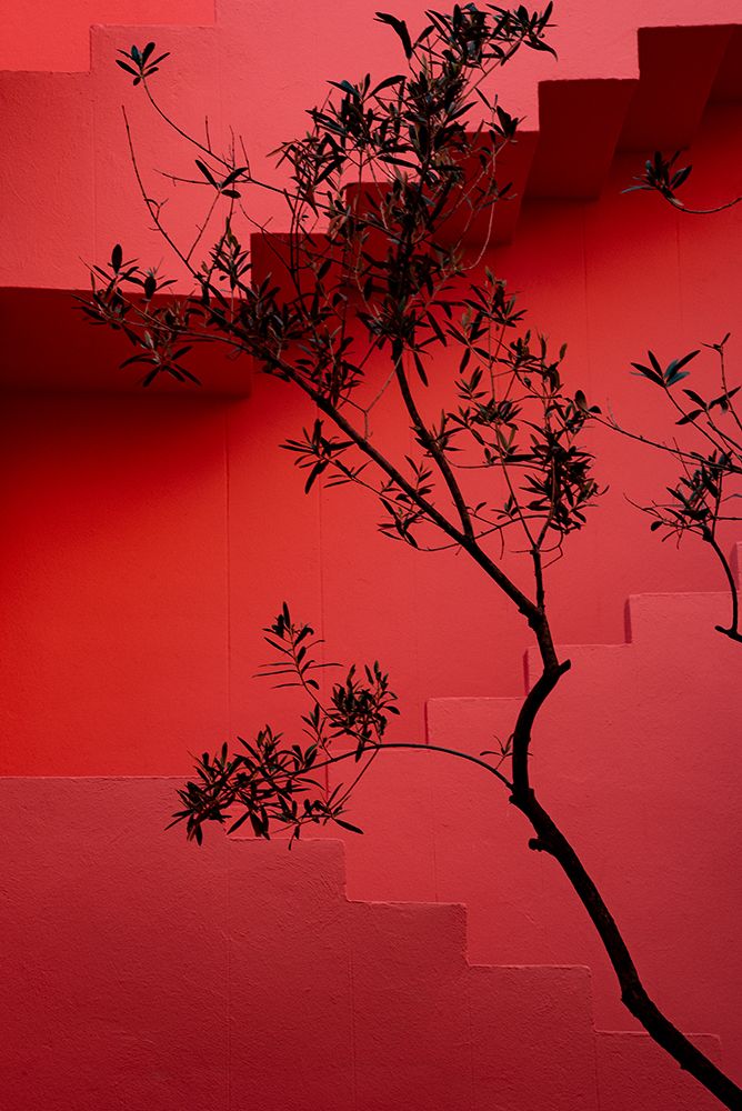 Muralla Roja #14 art print by Linda Wride for $57.95 CAD
