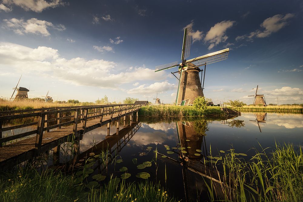 Postcards from Kinderdijk art print by Alberto Alvaro for $57.95 CAD