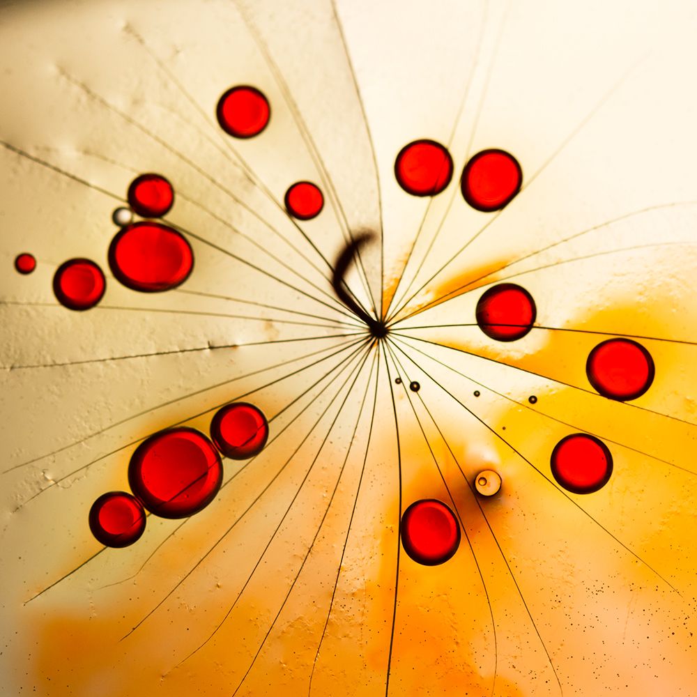 Power of the red art print by Ileana Bosogea-Tudor for $57.95 CAD