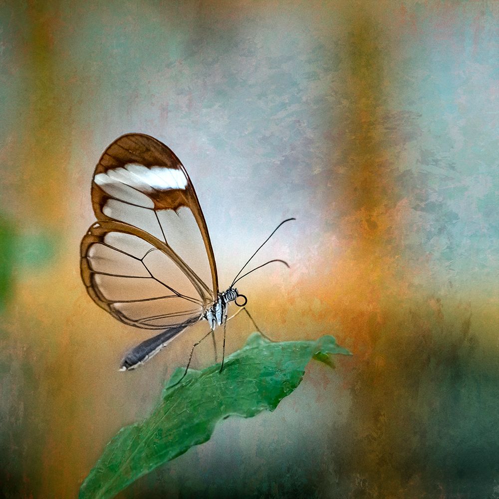 Untitled art print by Hardik Pandya for $57.95 CAD