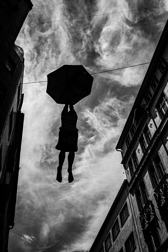 Hanging in there art print by Wille Roos for $57.95 CAD