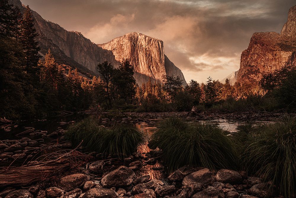 Yosemite 2 art print by Pirouz Moshavash for $57.95 CAD
