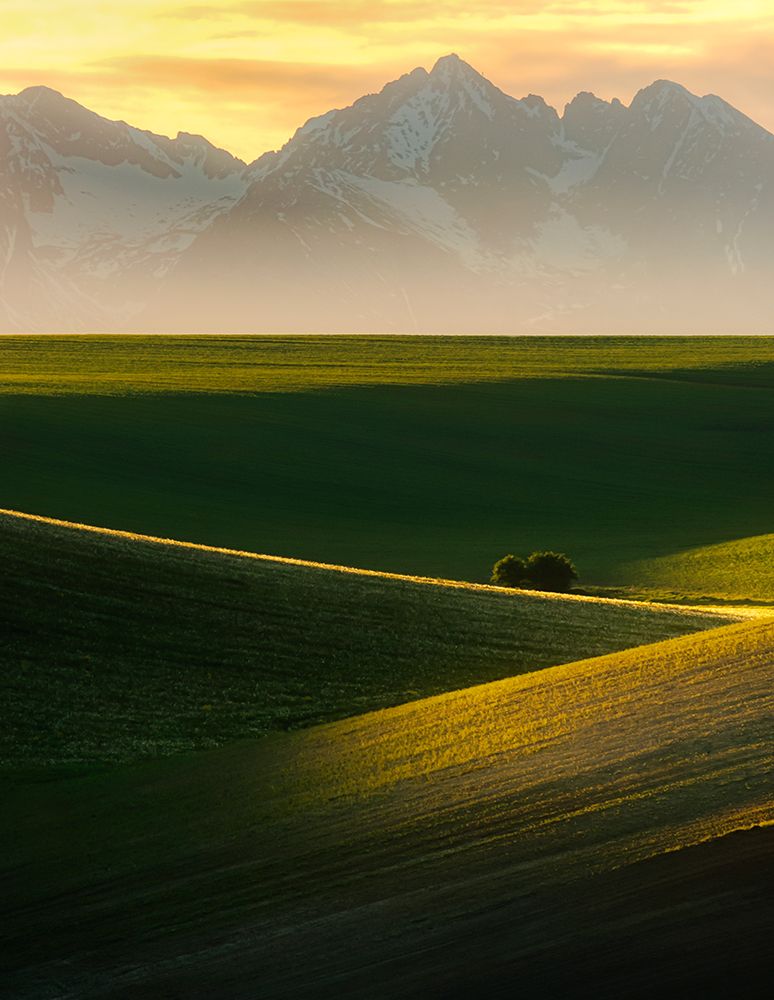 Spring sunset art print by David Ilkovic for $57.95 CAD