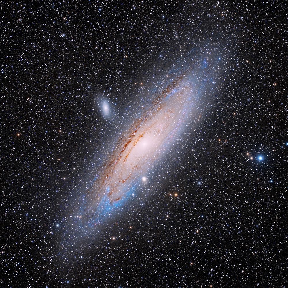 Andromeda art print by Vikas Chander for $57.95 CAD