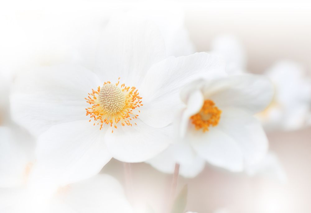 Her Name Is Love...Iii art print by Juliana Nan for $57.95 CAD