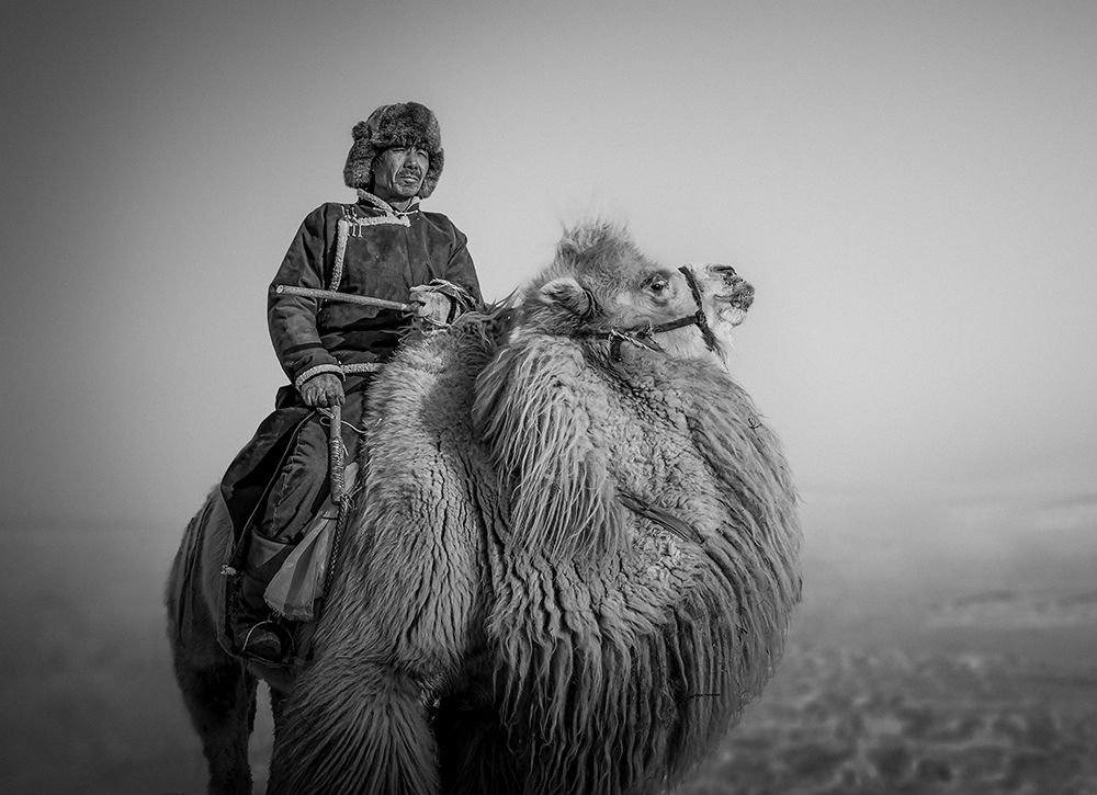Farmer and His Camel art print by Irene Yu Wu for $57.95 CAD
