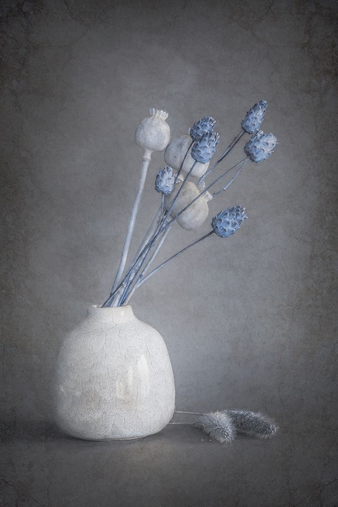 Serenity art print by Cicek Kiral for $57.95 CAD