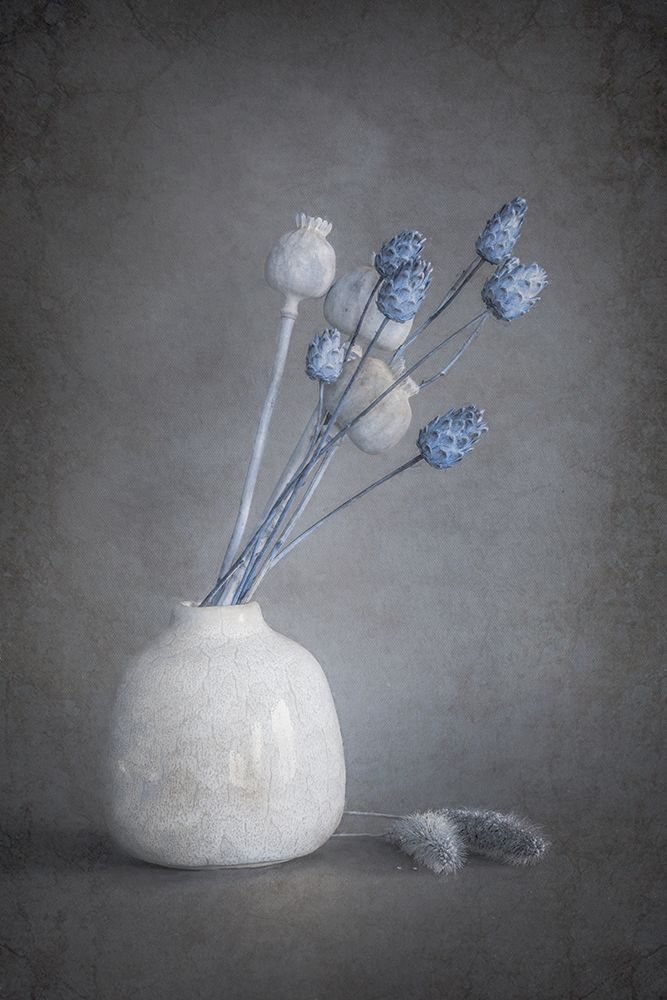 Serenity art print by Cicek Kiral for $57.95 CAD