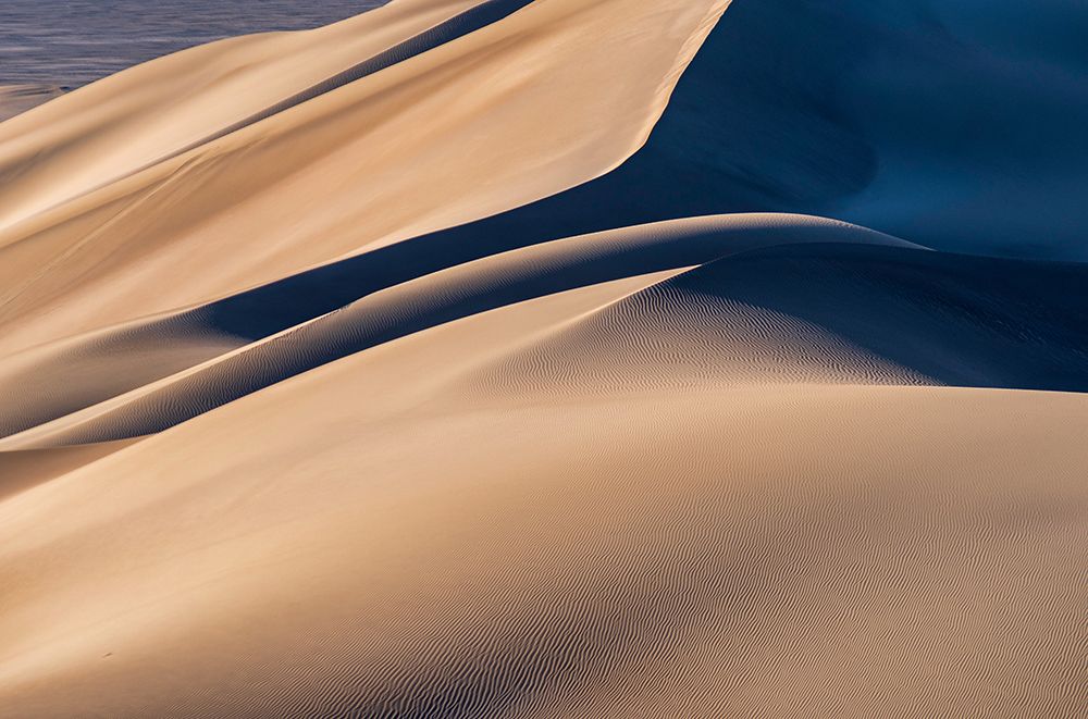 Desert art print by Mahshad Razavi for $57.95 CAD