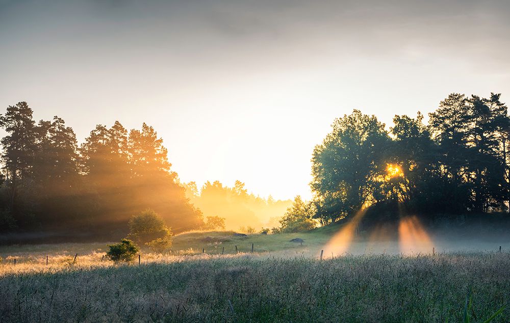 Summer field with sunrays art print by Christian Lindsten for $57.95 CAD
