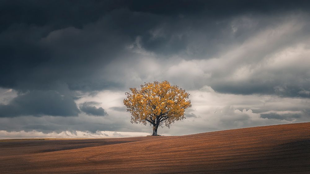 Loneliness art print by Thomas De Franzoni for $57.95 CAD