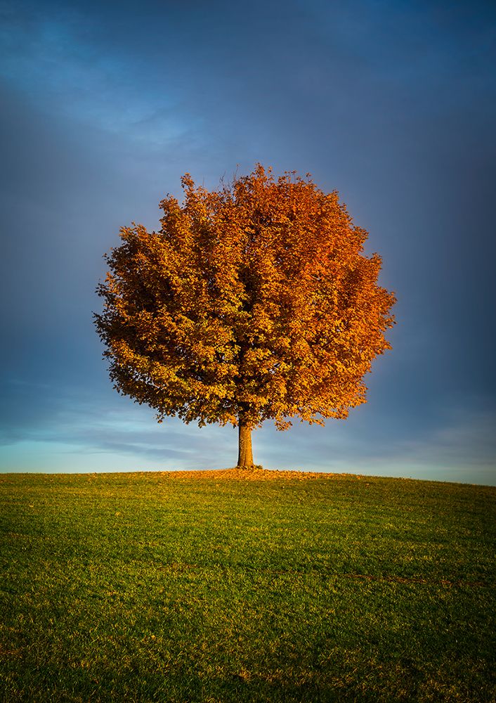 Contrast ddsid art print by Dominik Murko for $57.95 CAD