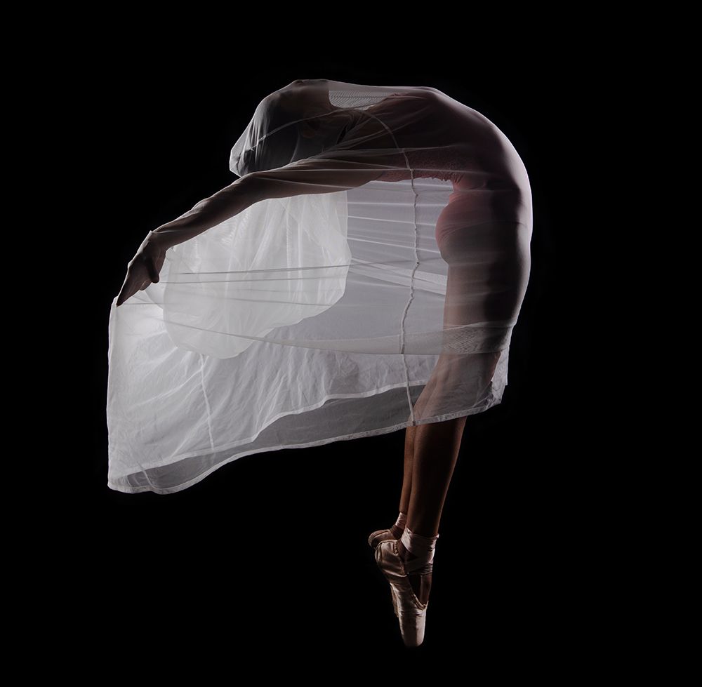 Ballet7551 art print by Rajat Dawn for $57.95 CAD