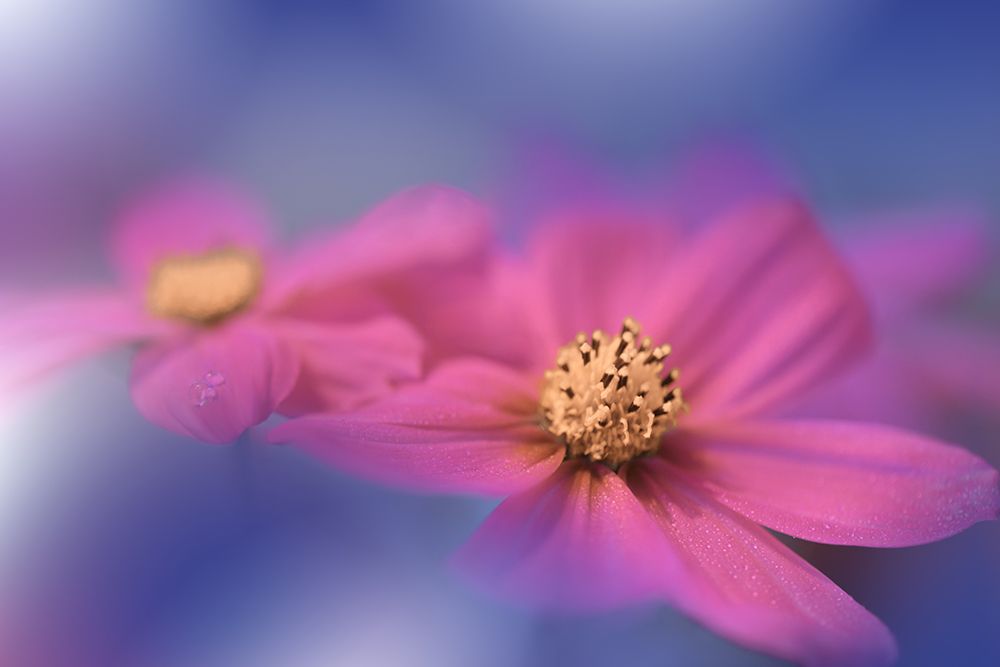 A Colorful World.. art print by Juliana Nan for $57.95 CAD