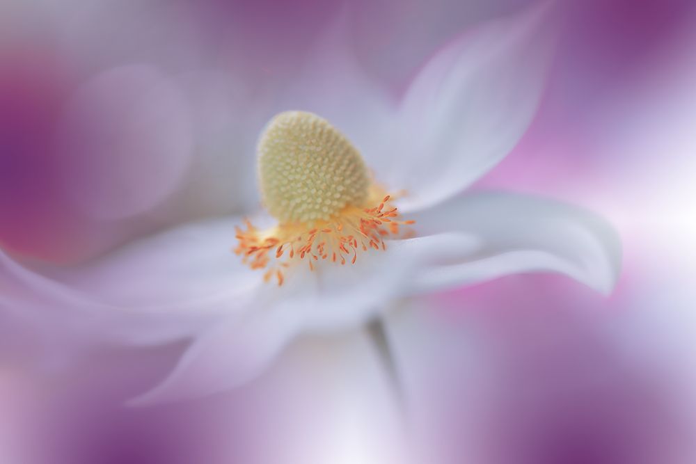 Rain Of Light...III art print by Juliana Nan for $57.95 CAD