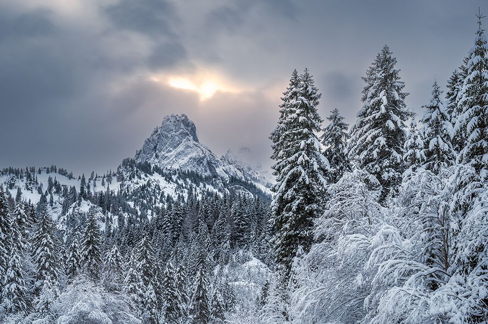 The alpine freshness art print by Anastasios Gialopoulos for $57.95 CAD