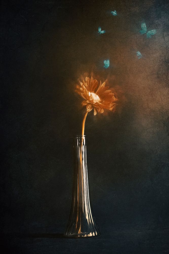 Peaceful Moments art print by Cicek Kiral for $57.95 CAD