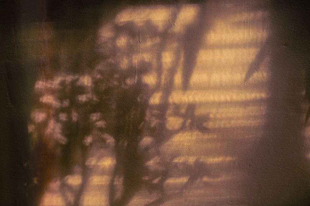 Wall with Shadows art print by Tim Mossholder for $57.95 CAD
