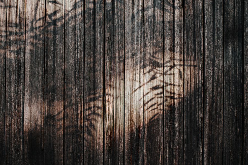 Fence with Shadows art print by Tim Mossholder for $57.95 CAD