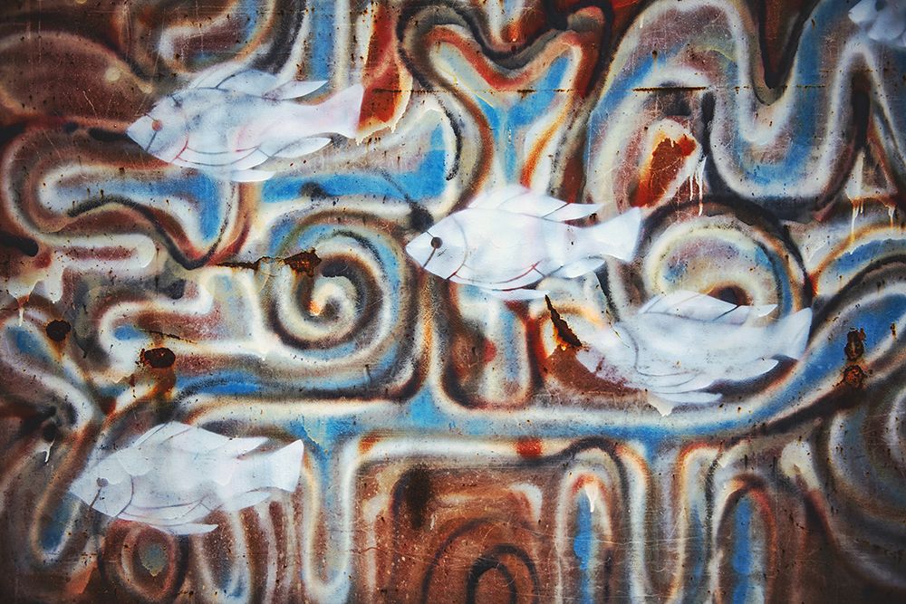 Fishies art print by Tim Mossholder for $57.95 CAD
