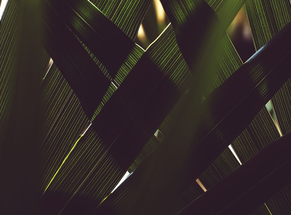 Untitled art print by Tim Mossholder for $57.95 CAD