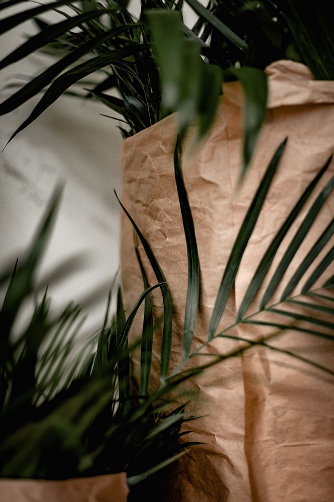 Palms a Craft Paper art print by Tim Mossholder for $57.95 CAD