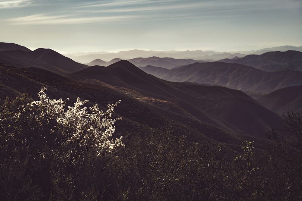 Vista of Hills art print by Tim Mossholder for $57.95 CAD