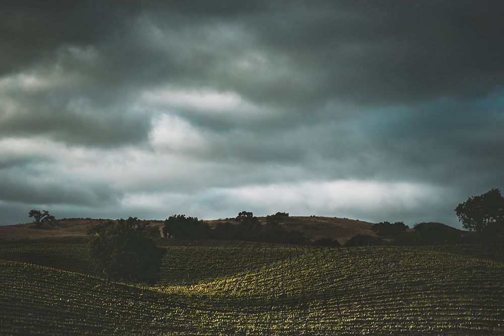 Hillside and Clouds art print by Tim Mossholder for $57.95 CAD