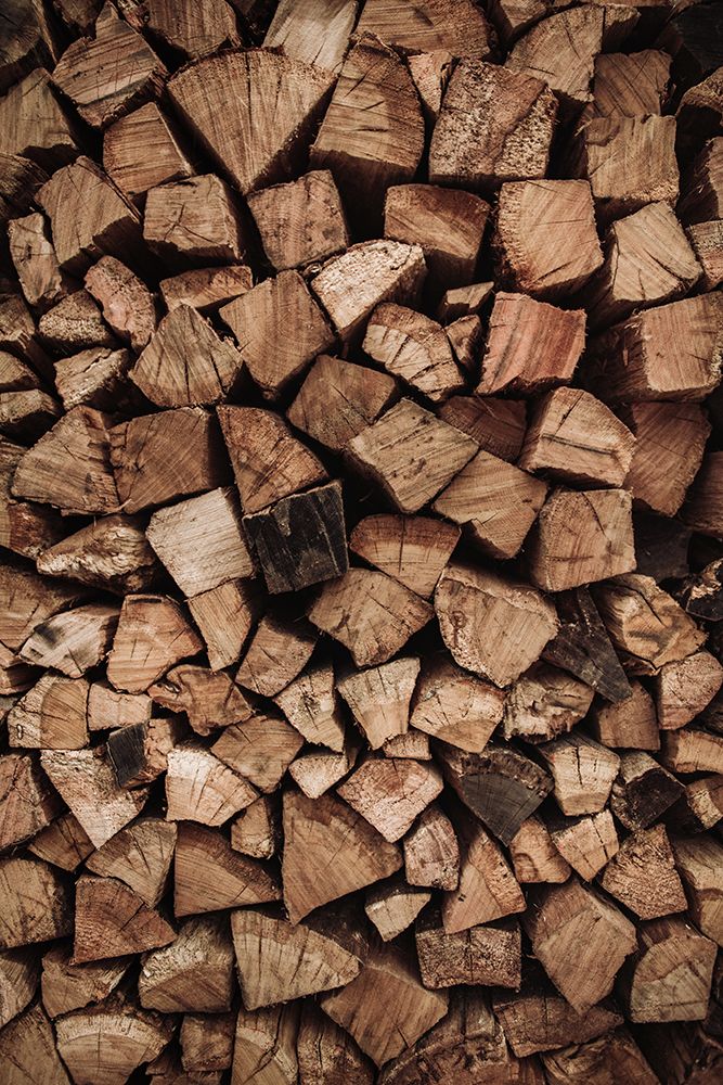 Wood art print by Tim Mossholder for $57.95 CAD