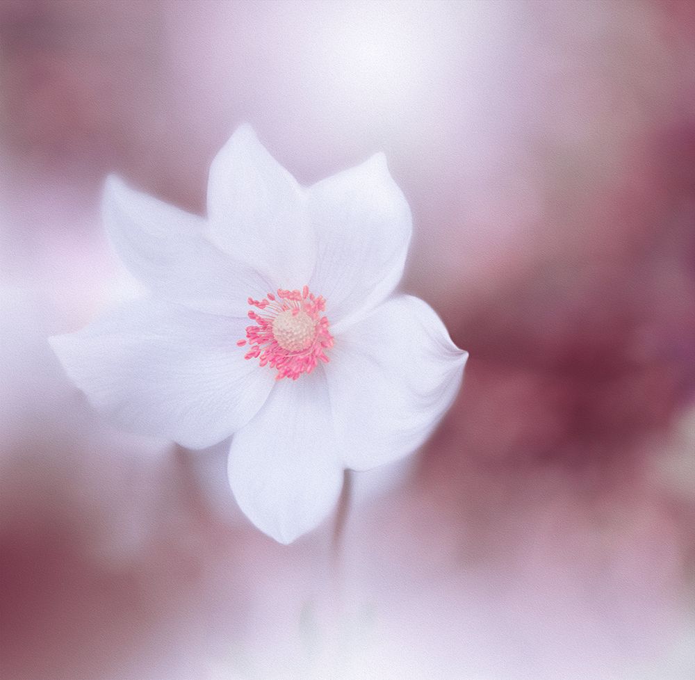Eyes Wide Open.. art print by Juliana Nan for $57.95 CAD