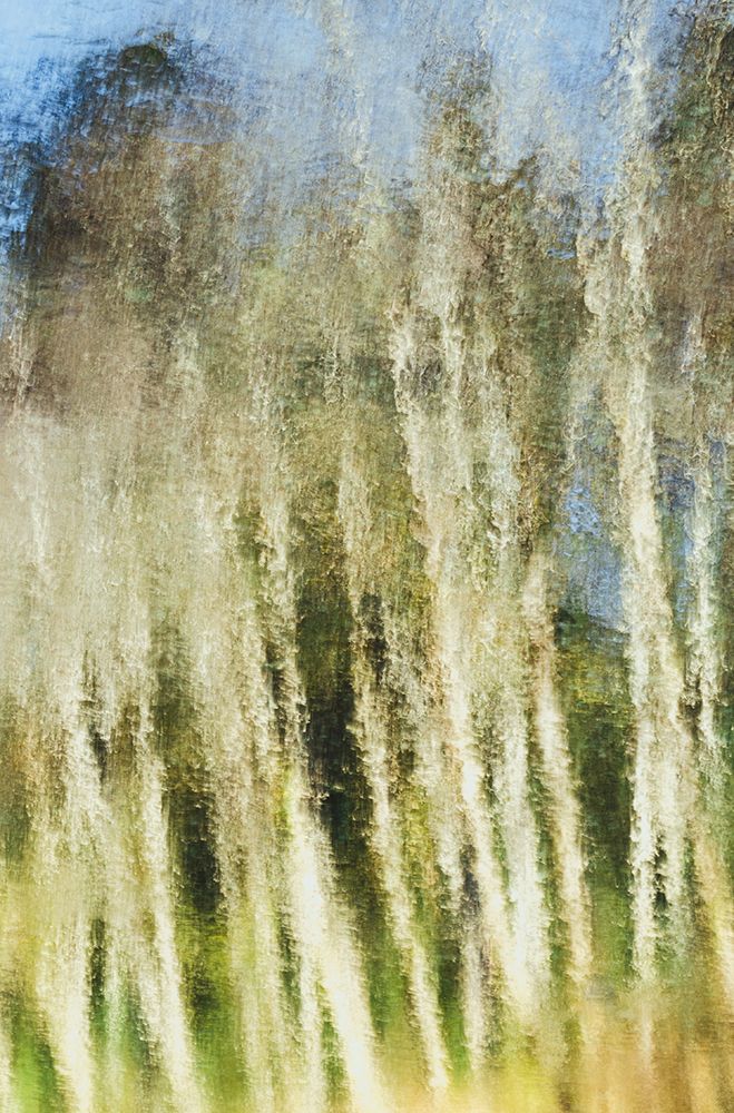 Acrylic Light art print by Misaki Saito for $57.95 CAD