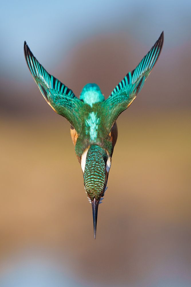 Aerodynamics II art print by Petar Sabol for $57.95 CAD