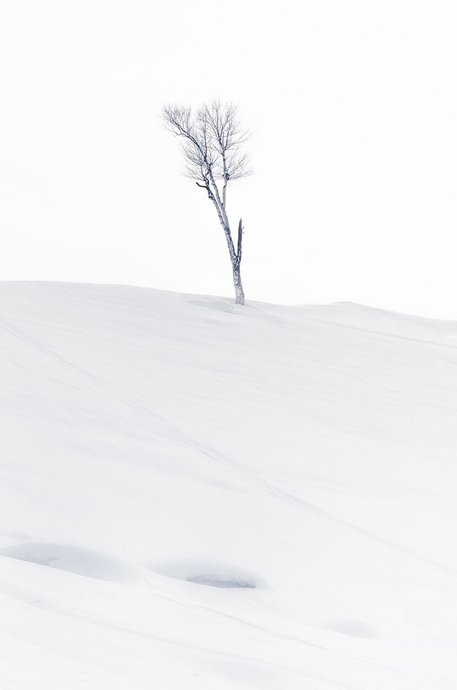 Lonely at Top art print by Jassi Oberai for $57.95 CAD