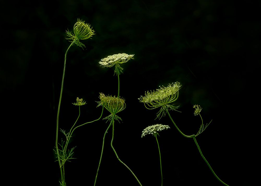 A Green Dance art print by Jennifer Chen for $57.95 CAD