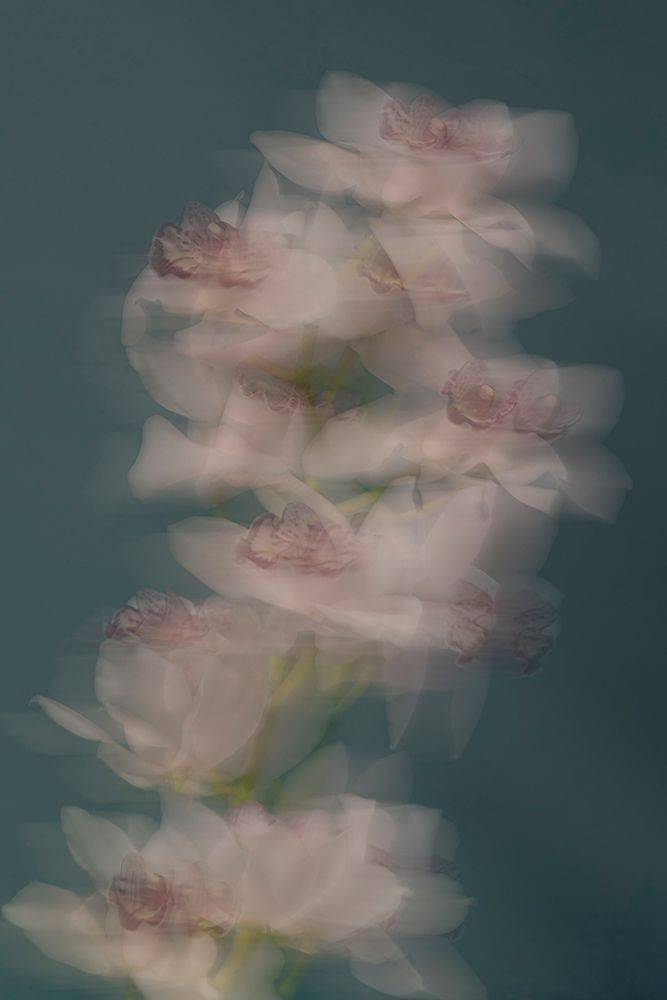 Slow motion art print by Donatella Basso for $57.95 CAD