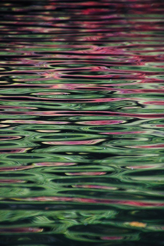 Flower reflection art print by Miguel Alcantara for $57.95 CAD