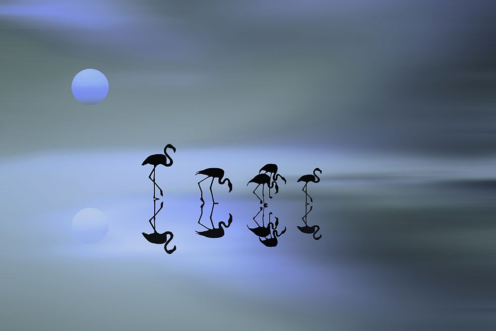 group of flamingos art print by Natalia for $57.95 CAD