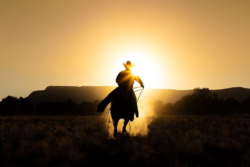 The Cowboy art print by Matt Jacob for $57.95 CAD