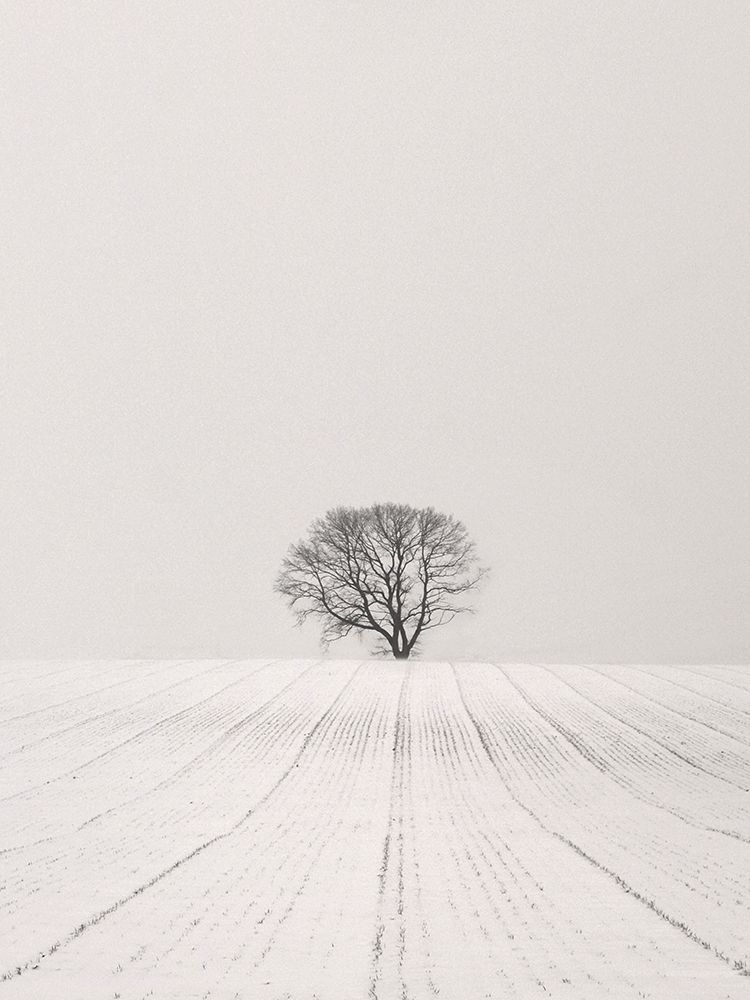 White Desert art print by Lena Weisbek for $57.95 CAD