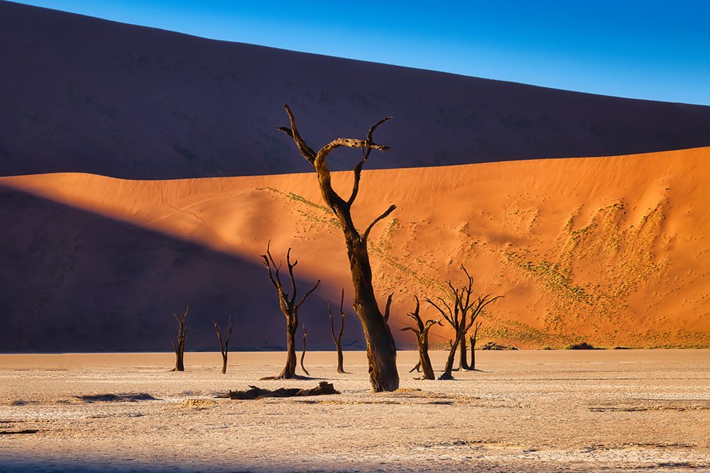 Deadvlei art print by Michael Zheng for $57.95 CAD