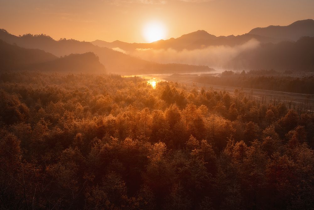 Red forest art print by Damon Hao for $57.95 CAD