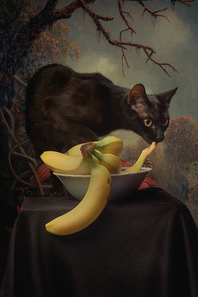 Turbix art print by Paul Adrian Chis for $57.95 CAD