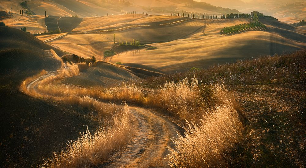 Road... art print by Krzysztof Browko for $57.95 CAD