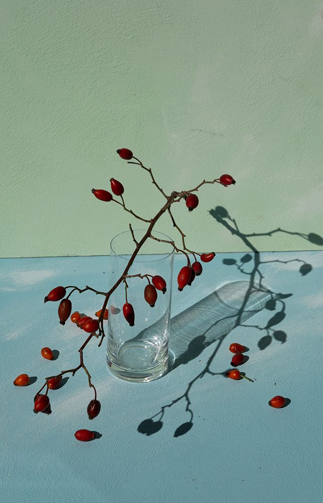 Berries art print by Donatella Basso for $57.95 CAD