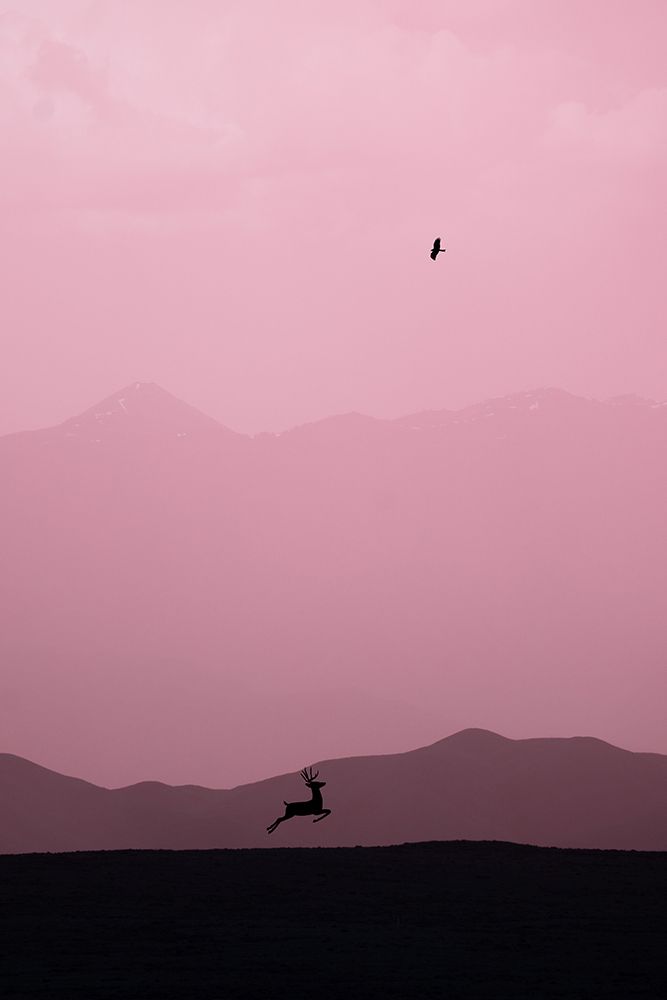 caracc art print by Xiaopeng Guan for $57.95 CAD