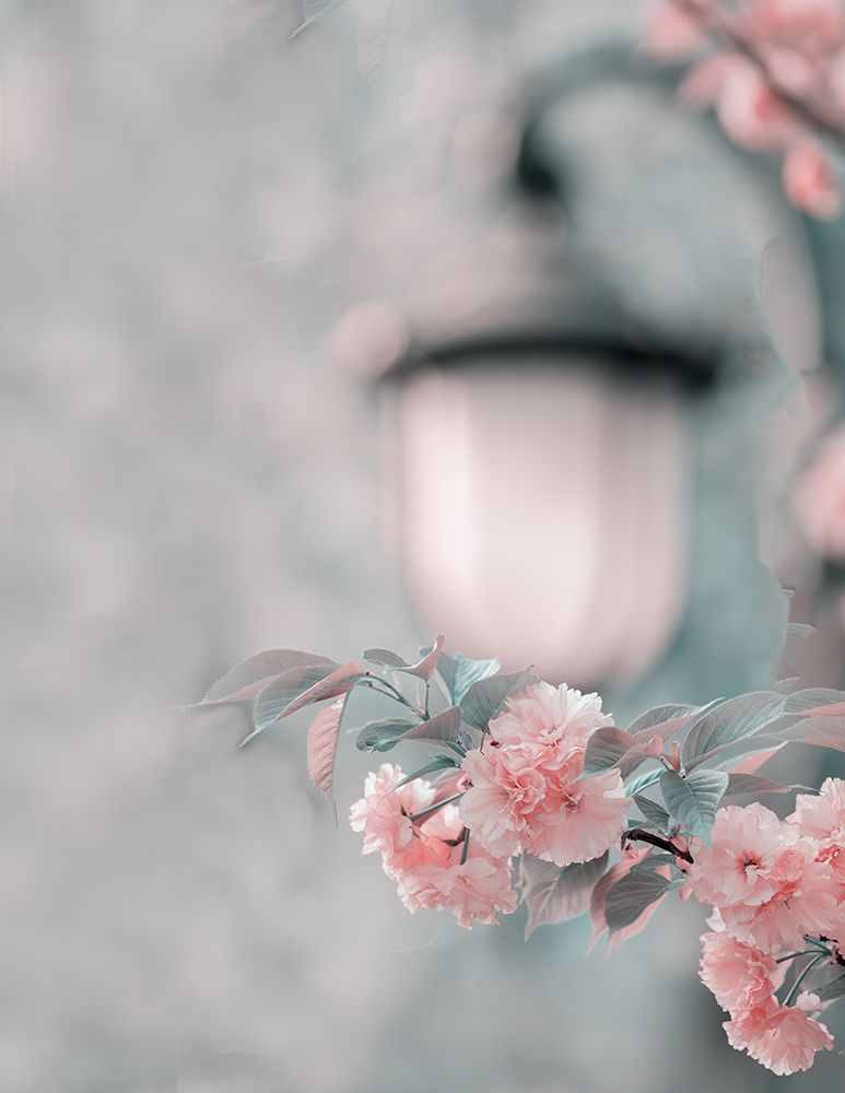 Cherry Blossom Under Street Lamp art print by Betty Liu for $57.95 CAD