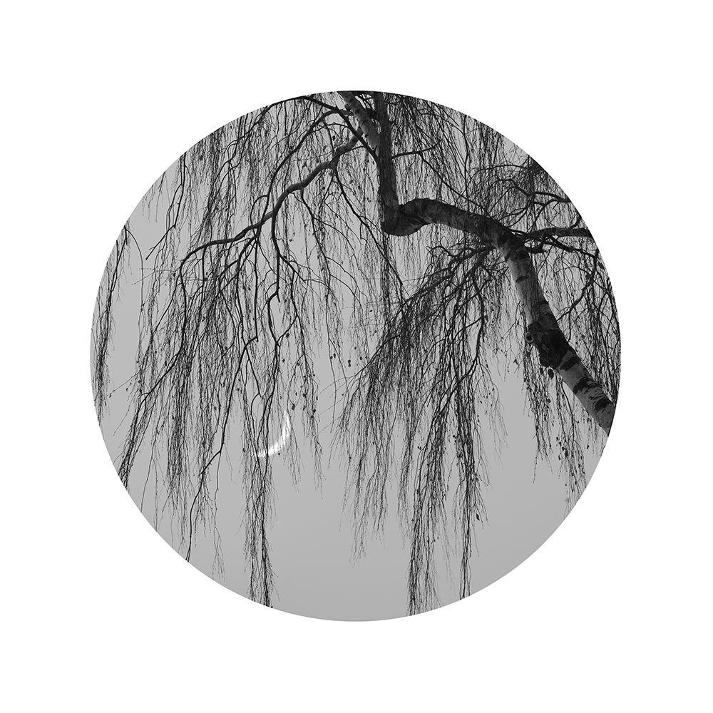 Early Spring No.1 art print by Xiang Wei for $57.95 CAD