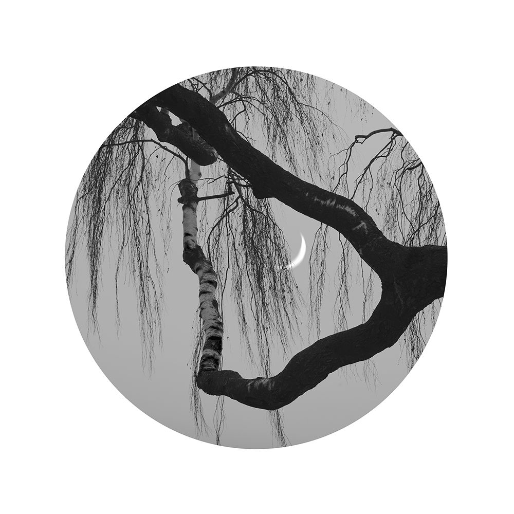 Early Spring No.2 art print by Xiang Wei for $57.95 CAD