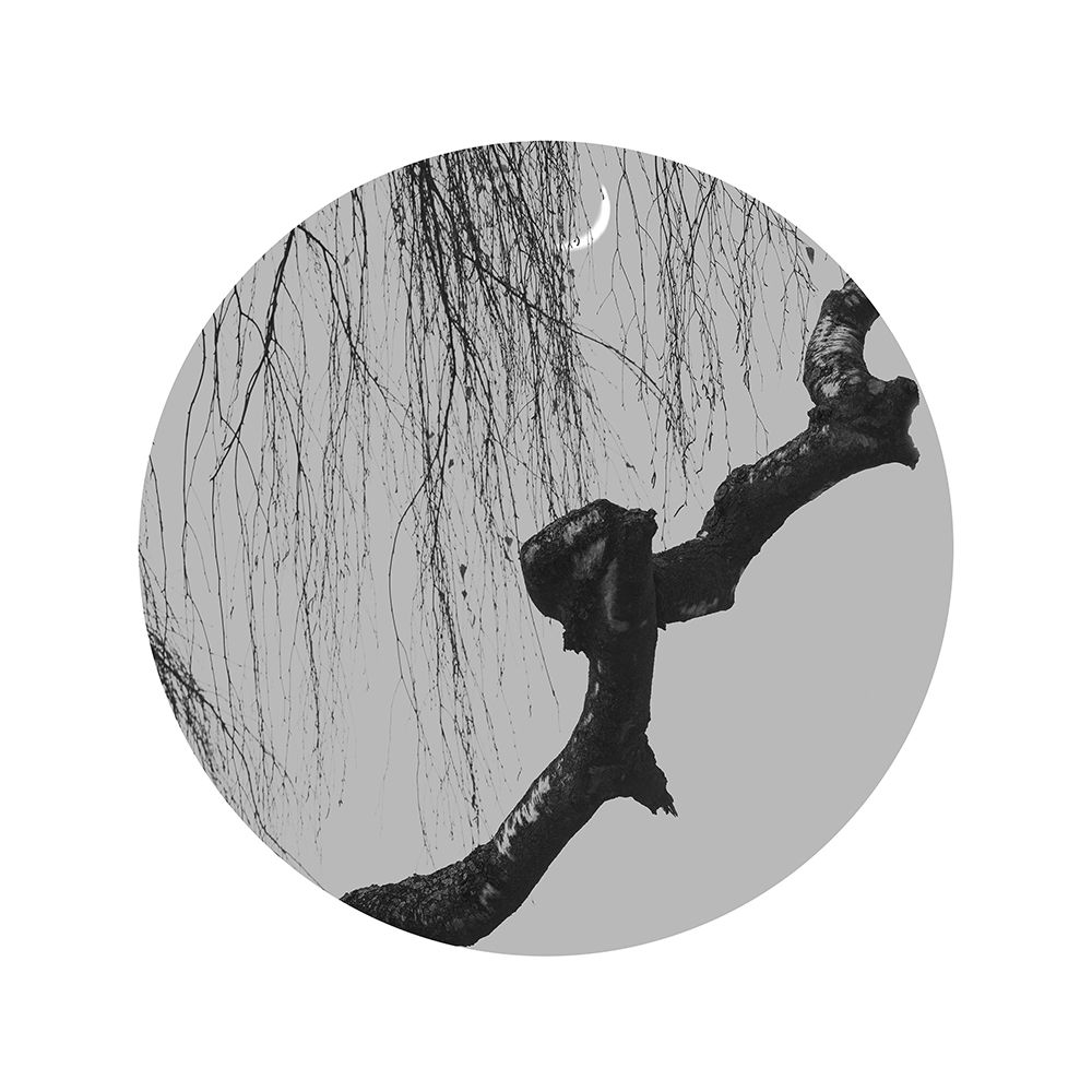 Early Spring No.4 art print by Xiang Wei for $57.95 CAD